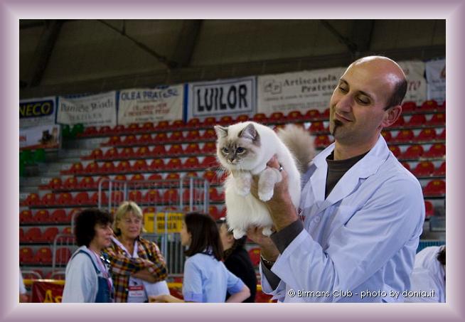 Foto successiva